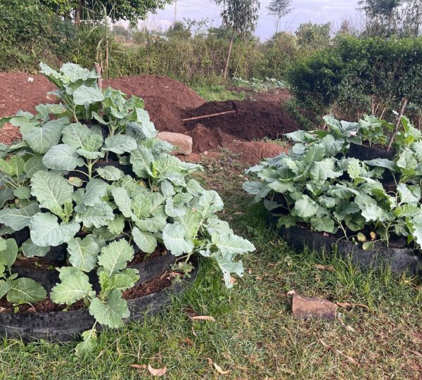 smartfarming2