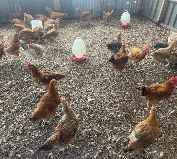 smartfarming4